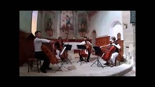 Vivaldi  Concerto RV269 quotLa Primaveraquot  4 cellos [upl. by Horodko389]