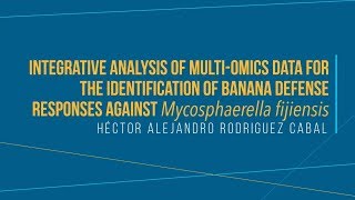 Sigatoka Negra Mycosphaerella fijiensis  Héctor Alejandro Rodríguez Cabal [upl. by Markus]