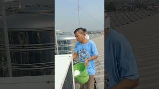 how to clean air conditioner outside unitservice AC outdoor [upl. by Rekoob]