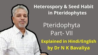 Heterospory and Seed Habit in Pteridophytes [upl. by Alet897]