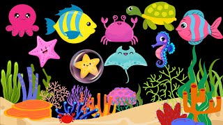 Baby Bear  Under The Sea  Relaxing Animation  Sleep Video  Baby Sensory [upl. by Fasto]