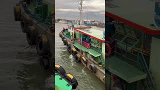 Towing tugboat radiant star youtubeshorts shipspotting shorts shortvideo short subscribe [upl. by Eadrahc]