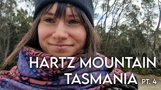 climbing Hartz mountain  TASMANIA pt 4 [upl. by Urbani]