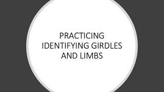 Practice Identifying Limbs and Girdles [upl. by Girard925]