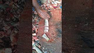 Soil fish cutting skill by expert 🔪🐟 soil fish cutting shorts viralvideo youtubeshorts short [upl. by Hamilah]