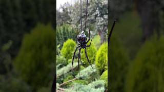 Glass spider pendant craft spiderman spider handmade fy art artist artwork fyp gift [upl. by Whitten748]