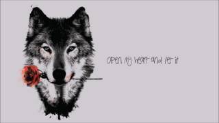 Wolf Like Me  TV On The Radio  Lyrics [upl. by Mcdougall]