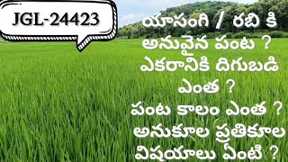 యాసంగి  రబి కి best Paddy seed JGL24423  Video3  JGL24423 గురించి పూర్తి విషయాలు [upl. by Plusch]