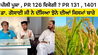 📱9215757800 All new Paddy Varieties  PR 131  PR 126  Pusa 44 gosaindk [upl. by Eelac]