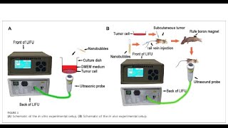 PLGA from PolySciTech used in development of delivery of genes for bone cancer treatment [upl. by Enytsirhc]