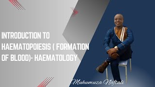 introduction to Haematopoiesis  Formation of blood Haematology [upl. by Kellda]