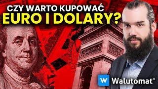 Czy warto kupować euro i dolary Sytuacja polskiej waluty  Maciej Przygórzewski [upl. by Kinnard]