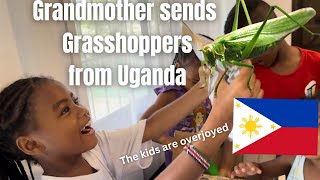 Overjoyed reaction as my mother shipped grasshoppers from Uganda to the Philippines 4 her grands [upl. by Bromley97]