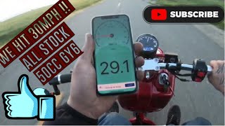 Icebear Maddog 50cc top speed Chuckus Ruckus Clone [upl. by Narcissus184]