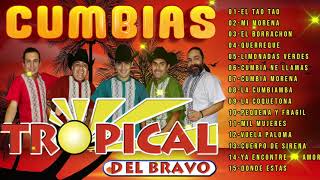 🌴TROPICAL DEL BRAVO CUMBIAS TROPICALES PARA BAILAR MIX 20 EXITOS 🌴MUSICATROPICALES [upl. by Raybourne]