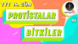 14 Protistalar ve Bitkiler Alemi Konu Anlatımı  9 Sınıf Biyoloji  YKS 2023  TYT Kampı 14 Gün [upl. by Anirrak390]