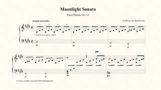 Beethoven Moonlight Sonata [upl. by Chucho485]