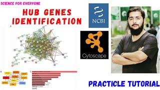 Hub Genes Identification  Bioinformatics  Complete Practicle Tutorial  Urdu  Hindi [upl. by Nosredneh]