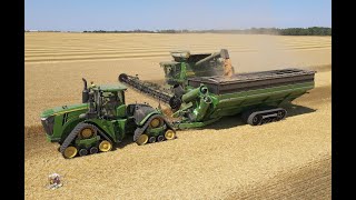 Wheat Harvest at Crossroad Farms in Indiana [upl. by Ajile]