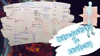 Introduction To Anatomy Anatomical Planes Position Terms of Location amp Movements شرح بالعربى [upl. by Nisaj]