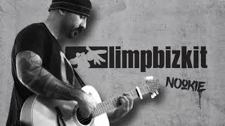 Limp Bizkit  Nookie Acoustic Cover [upl. by Rellia]