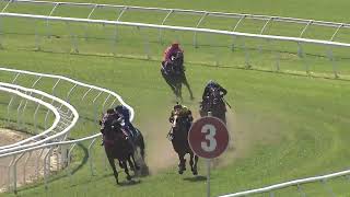 Heat 12  Doomben Jumpouts 10102023 [upl. by Irahs]