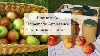 How to make Homemade Applesauce using Kitchenaid food strainer [upl. by Astri]