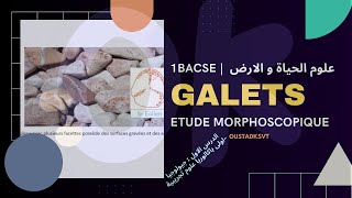 1BAC SE  Létude morphoscopique des galets  SVT géologie ChapI [upl. by Nolyad986]