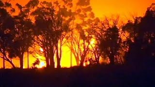 Australian wildfires wipe out 95 homes [upl. by Malvin559]