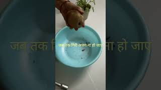 इस ट्रिक से अलग करे नारियाल गिरी nariyal food foodie [upl. by Rayle101]