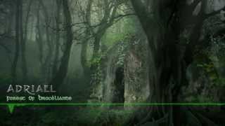 Celtic Music  Forest Of Brocéliande  Adriael [upl. by Llenreb]