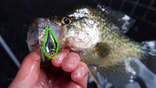 BIG Crappies on RIPPIN RAPS Ice Fishing [upl. by Namdor238]