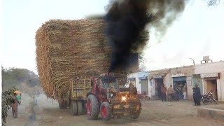 8 Belarus tractors pulling trailer [upl. by Readus]