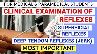 REFLEXES EXAMINATION  CLINICAL LAB  PHYSIOLOGY PRACTICALS [upl. by Hsot]