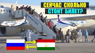 Сколько стоят авиабилеты на данный момент из Таджикистана в Россию и обратно из России в ТЧ [upl. by Elmina]