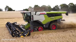 4Kᵁᴴᴰ Harvest 2023 Claas Lexion 7700 TT with a MacDon FD135 flex draper header cutting barley [upl. by Yrffoeg435]