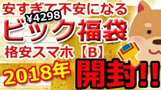 【2018ビックカメラ福袋】3980円（税抜）のスマホ福袋の中身はコレ！【格安スマホB】 [upl. by Aufa]