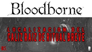 Bloodborne™  Localización del Cáliz raíz de ritual breve [upl. by Rumpf314]