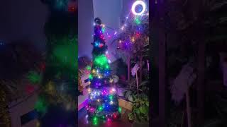 🎄Happy Christmas To All🎄 christmas decoration december santa youtubeshorts [upl. by Jaclin]