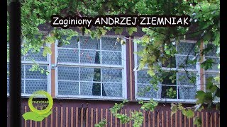 APOKALIPSA ZAUFANIA  zaginiony Andrzej Ziemniak [upl. by Adirehs]