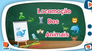 Locomoção dos animais  Ciências Professora Margerlandia [upl. by Aketal248]