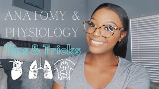 HOW TO GET AN A IN ANATOMY amp PHYSIOLOGY ♡  TIPS amp TRICKS  PASS AampP WITH STRAIGHT AS [upl. by Shaylynn625]