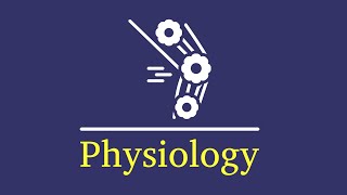 L1 physiology RBCs and Hb [upl. by Rella]