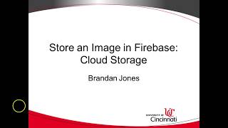 Store an Image in Firebase Cloud Storage [upl. by Zipporah105]