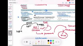 DPP 4 inhibitors mechanism of action endocrinology 91  First Aid USMLE Step 1 in UrduHindi [upl. by Itisahc]