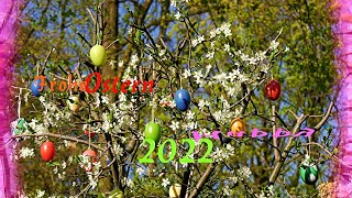 🐰 Frohe Ostern 2022 🐰 Happy Easter 🐰 Joyeuses Pâques 🐰 [upl. by Gamages]