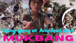 Vlog 19  Mukbang ng Ganggang at Aninikad Shell  ASMR  BOHOL Island Experience [upl. by Esimaj705]