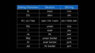 Sylterfriesisch  Sölring Lernen Sprachkurs Lektion 11  Leks 11 [upl. by Lefkowitz]