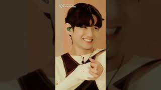 Taehyung whatsapp status♥️ [upl. by Kcirdahc]