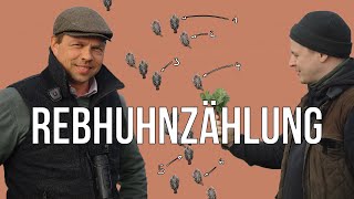 Freunde der Jagd  Folge 20  Rebhuhnzählung mit Paul im Niederwildtestrevier artenschutz rebhuhn [upl. by Warrin397]